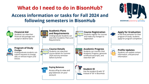 What do I do in BisonHub?